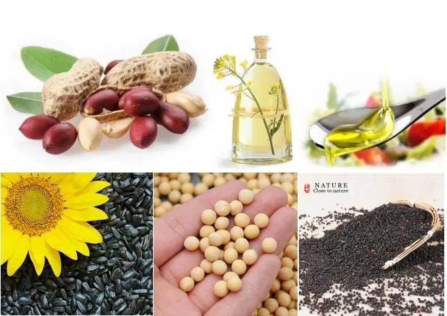 Palm Vegetable Olive Edible Cooking Sesame Oil Filter