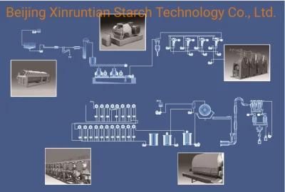 Sweet Potato Starch Processing Machinery Made in China