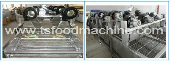 Food Equipment Conveyor Mesh Belt Coconut Chips Dryer and Drying Cooling Machine