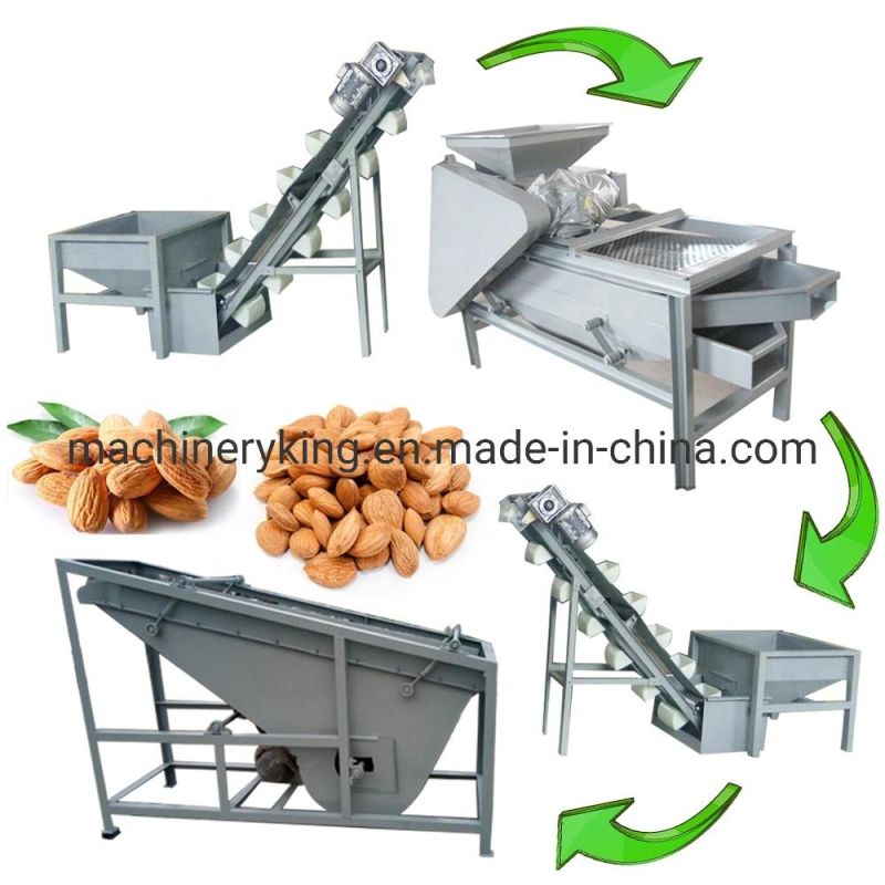 Peanut Kernel Sorting Machine Peanut Grading Machine Almond Sorting Machine