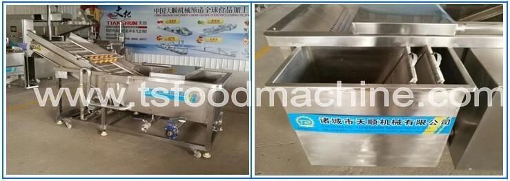 Bubble Washer and Washing Machine with Ozone Generator for Mango