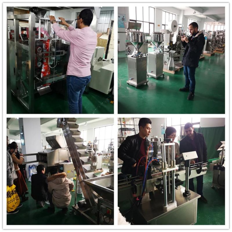 Expansion Bag Pure Milk and Juice Forming Bag Filling and Sealing Machine