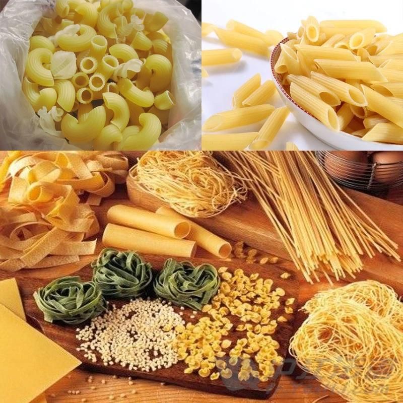 Energy-Saving Automatic Macaroni Pasta Commercial Pasta Making Machine