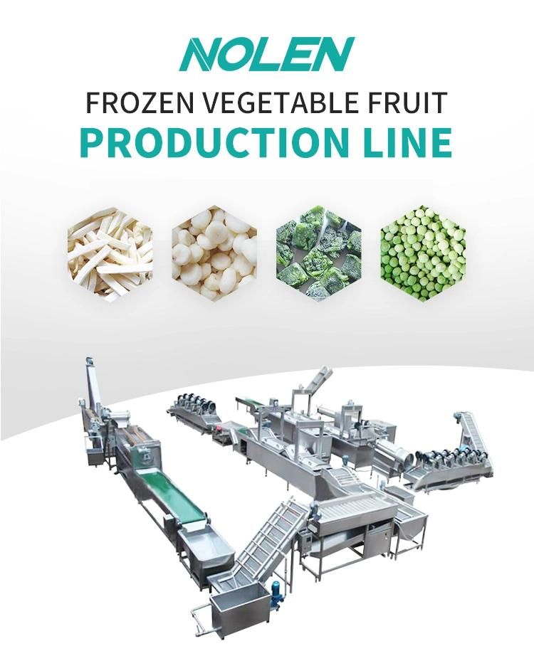 Quick Freezing Processing Machine with Vegetable and Fruit or for Freezing Fish /Pork Meat