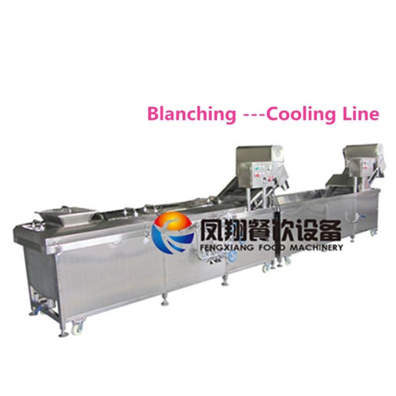 Plantain Chip Blancher, Fruit Spinach Bamboo Blanching Machine