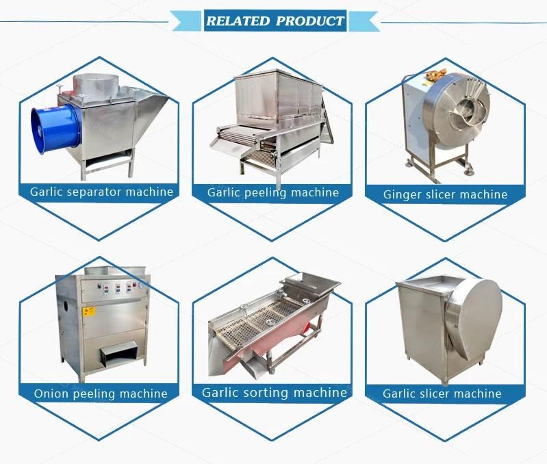 Reasonable Price and New Type Sweet Potato Grinding Machine Chili Paste Making Machine