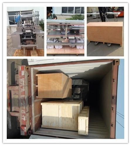 Automatic Biscuit Machine with Bakery Oven