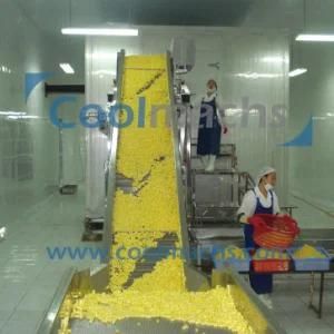 Frozen Jackfruit Pineapple Processing Machine/Frozen Fruit Pineapple Orange Machine