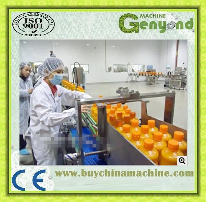 Turnkey Project Orange Apple Juice Processing Plant