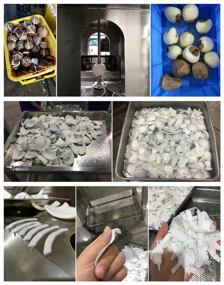 High Efficiency Coconut Meat Grinding Machine