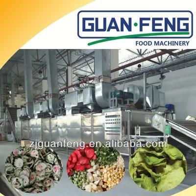 Steam Drying Equipment Corn Belt Dryer for Vegetables