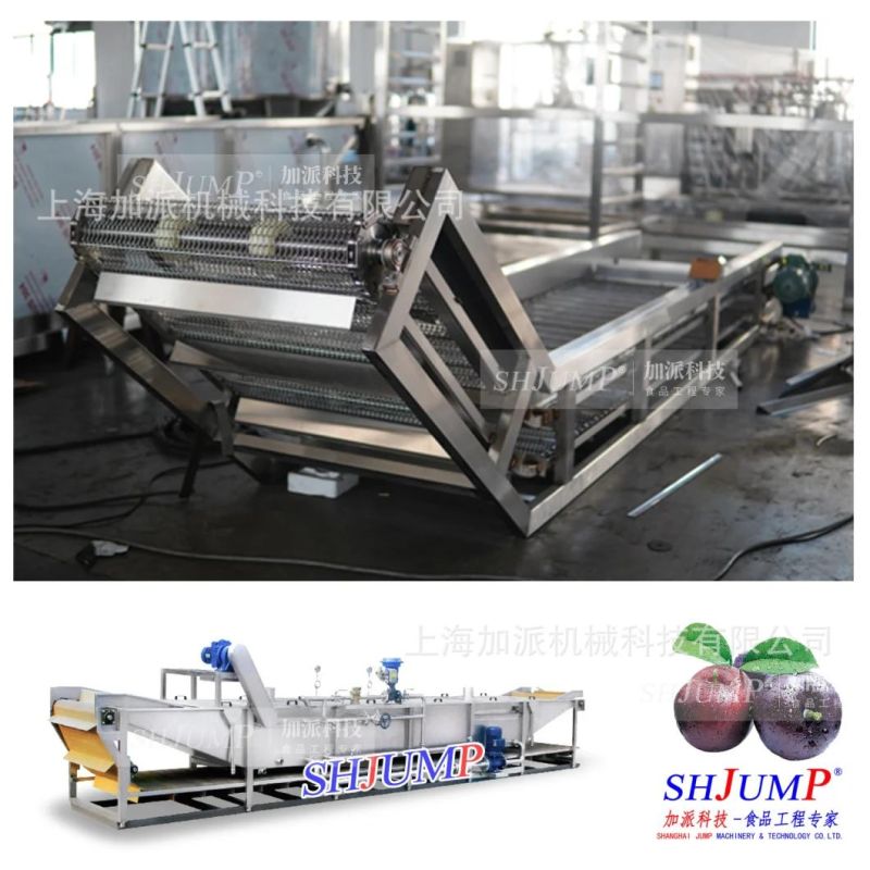 Ejiao Jujube Machining Production Line Gold Silk Glazed Date Processing Equipment Glazed Date Jujube Processing Production Line