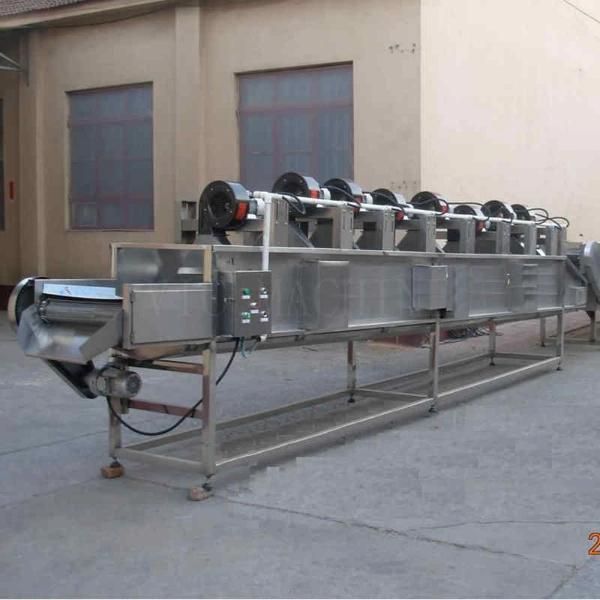 FL4000 Vegetable Dehydration Machine Vegetable and Fruit Dehydrator