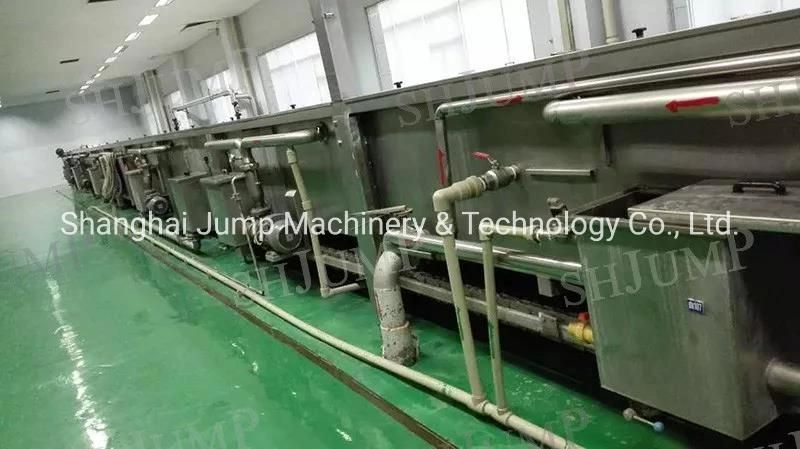 Dried Passion Fruit/Preserved Fruit Processing Line/Production Machine/Fruit Drying Equipment