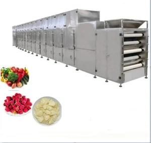Fruits Vegetable Food Processing Drying Machine