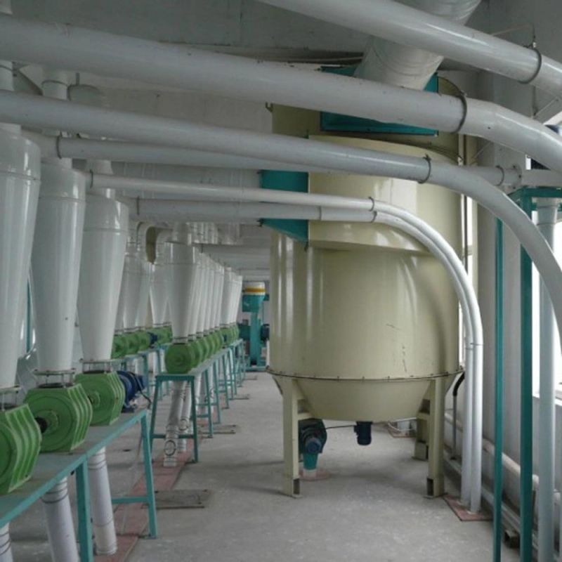 Complete 300t/24h Wheat Flour Milling Plant with Price in Egypt