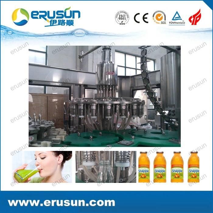 Fruit Juice Rinser Filler and Capper 3 in 1 Machine