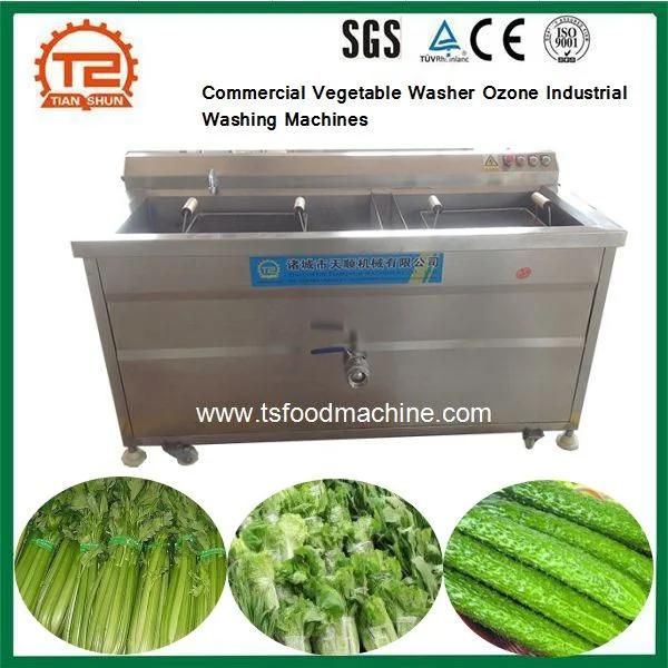 Commercial Vegetable Washer Ozone Industrial Washing Machines