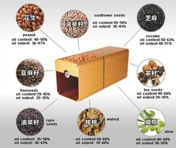 Home use small oil presss machine