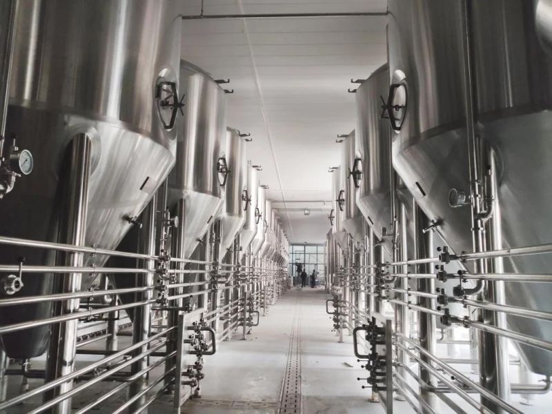 Custom SUS 304 500L 1000L Beer Fermenter for Brewing Equipment