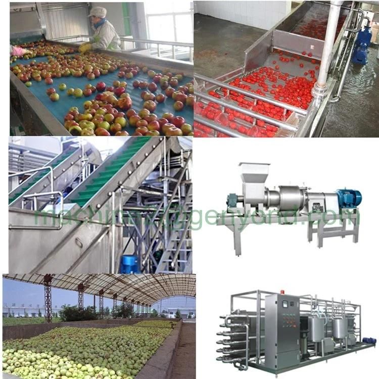 Mini Fruit Juice Production Line for 2000 Bottles Per Hour