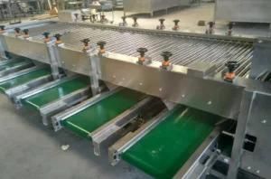 High Quality Fruit and Vegetable Sorting Machine