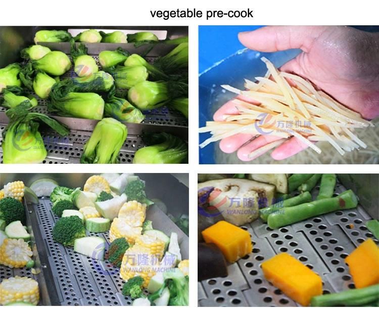 Automatic Potato Chips French Fries Food Vegetable Fruit Blanching Equipment