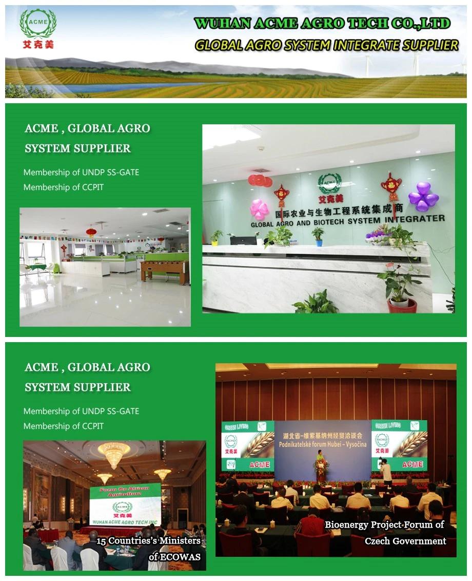 Made in China High Efficiency Olive Sesame Soybean Sunflower Seed Oil Hot Cold Pressing Machine Price for Sale