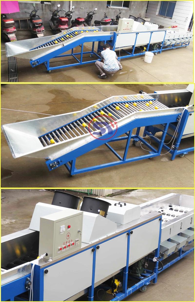 Fruit&Vegetable Blueberry Sorter Sorting Grading Machine by Size for Potato Tomato