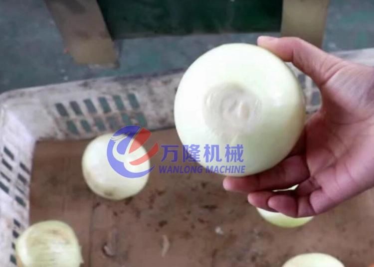 Automatic Onion Root Cutting Machine Onion Cutter Machine and Skin Peeling Machine