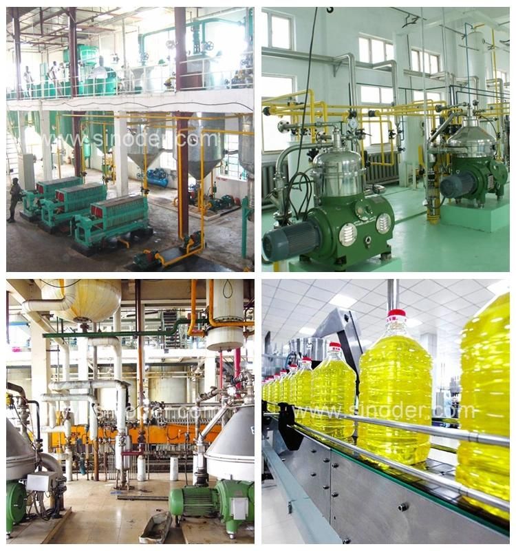 Screw Oil Press Machine to Extract Oil From Sunflower Oilseeds Vegetable Oil Machines for Making Cooking Oil Soybean Oil Plant Cotton Seeds Oil Expeller Oil Mil