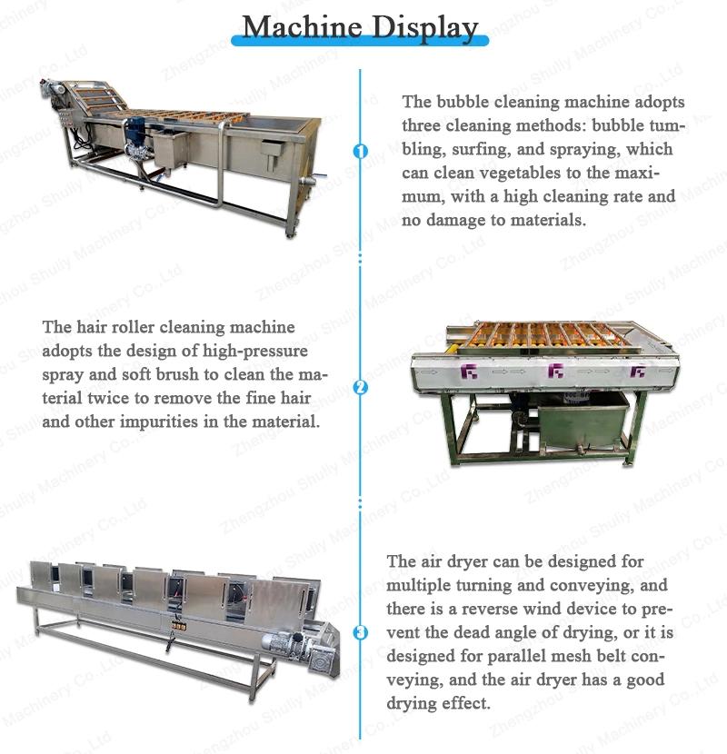 High Effective Fresh Date Fruit and Vegetable Cleaning Dryer Machine