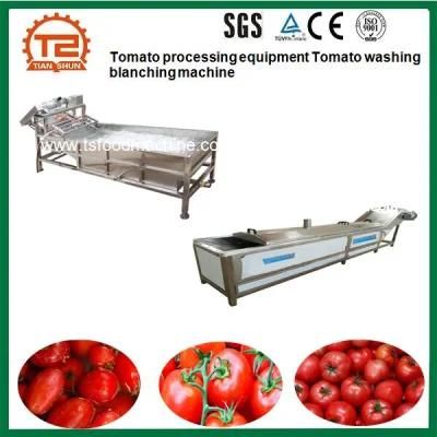 Tomato Processing Equipment Tomato Washing Blanching Machine