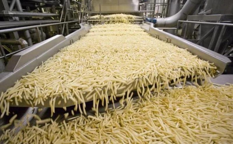 Potato Chunks and Frozen French Fries Processing Equipment