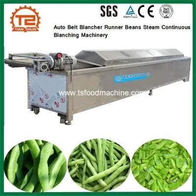 Food Processing Machine Auto Belt Blancher Runner Beans Steam Continuous Blanching ...