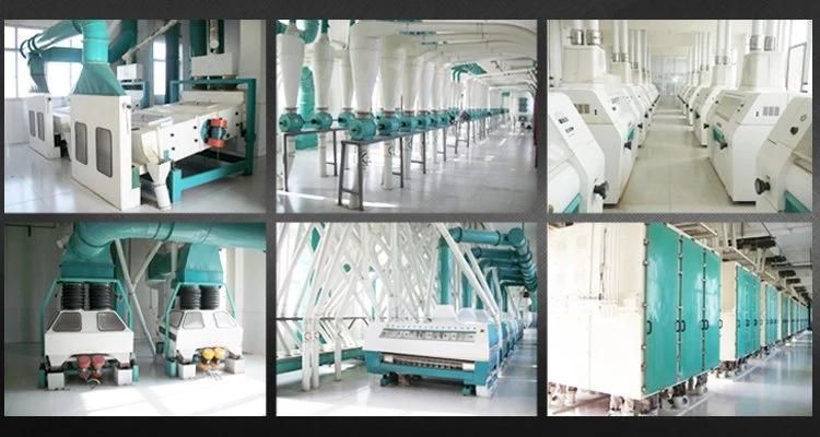 Hongdefa Maize Milling Plant Corn Flour Mill Machine in Zimbabwe