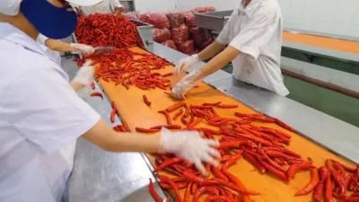 Shjump Chili Pepper Sauce Processing Line/ Chili Puree Processing Machine/Chili Paste ...