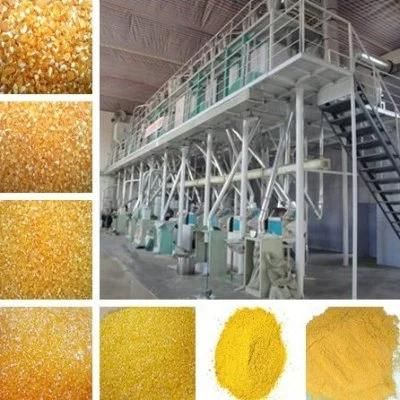 High Yield High Product Rate Corn Flour Line