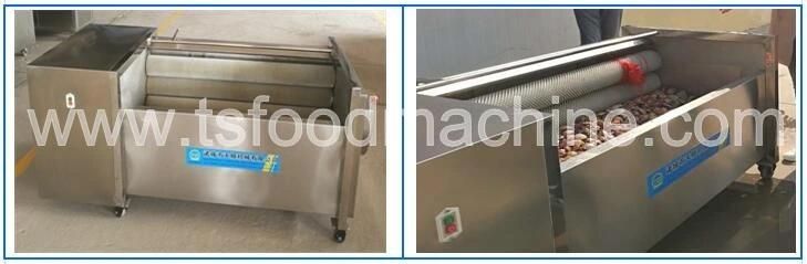 Brush Type Peanut Washing Machine and Walnut Washer Machine