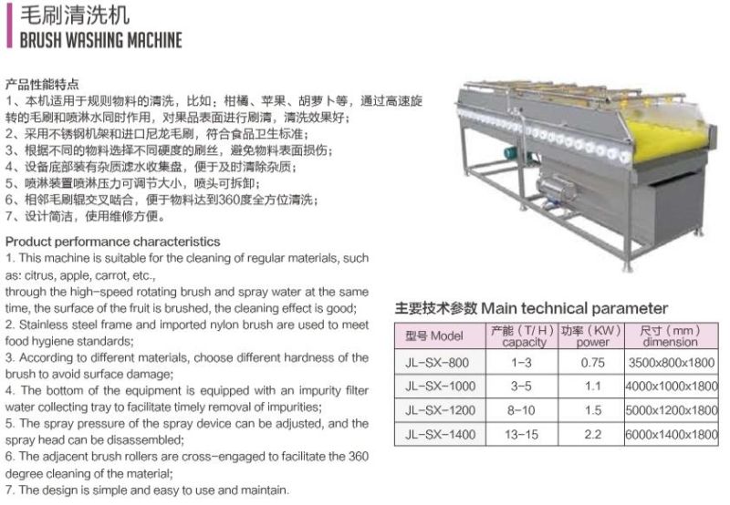 Ws New Full Automatic Fruit Vegetable Cleaning Machine