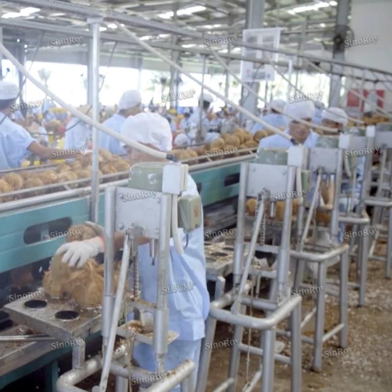 5-10 Tons Per Hour Coconut Milk Processing Line Coconut Cream Processing Line Coconut Water Processing Line