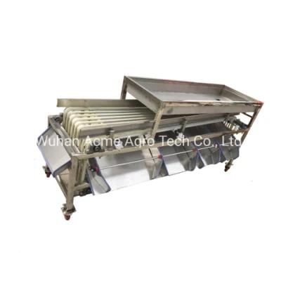 Date Palm Sorting Machine Fruit Sorting Conveyor