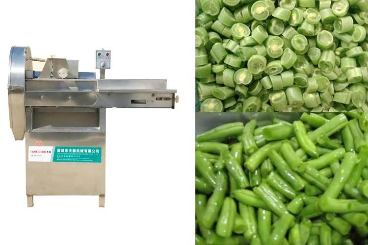 Cmmercial Vegetable Cutter Electrical Green Bean Cutting Machine