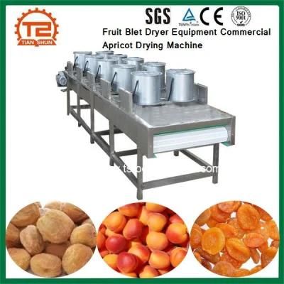 Fruit Blet Dryer Equipment Commercial Apricot Drying Machine for Cheap Price