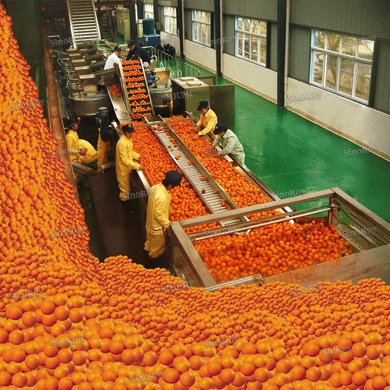 1500 Tons Diversity Fruit Production Lines Machines for Apricot Paste, Citrus Grape NFC Juice, Avocado Puree Jam Sauce Ketchup Aseptic Bag in Box Package