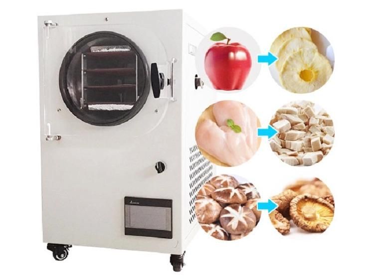 China Stainless Steel Lyophilization Machine Lyophilizer Fruit Vacuum Fd-50 Freeze Dry Machine