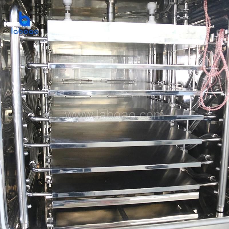 Industrial Large Scale Production Herbs Vacuum Freeze Dryer Lyophilizer