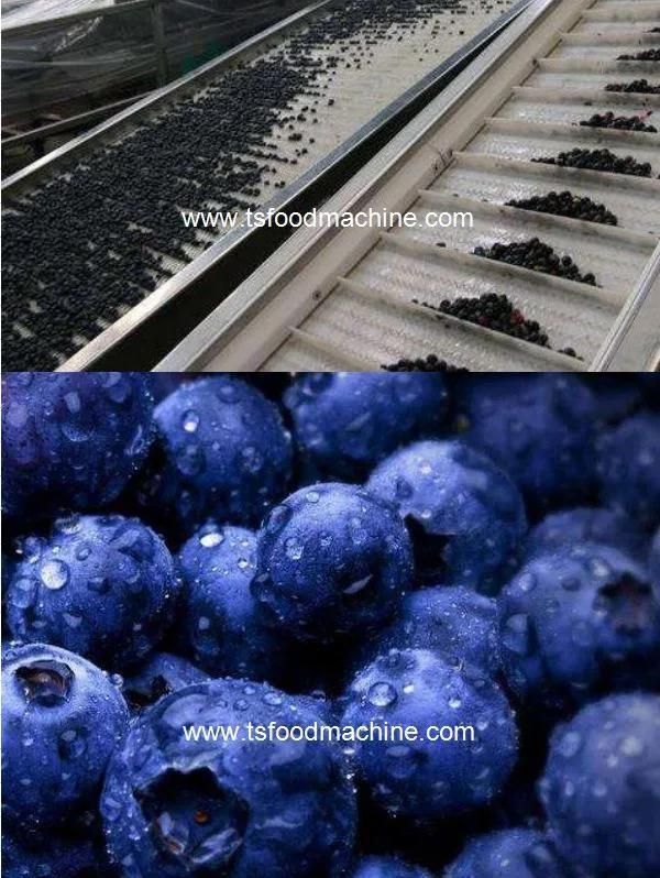 Fruit and Vegetable Washing Machine Blueberry Bubble Cleaning Machine with Ozone