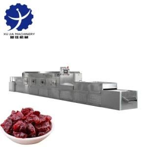 Dried Fruit Microwave Drying and Sterilizing Equipment