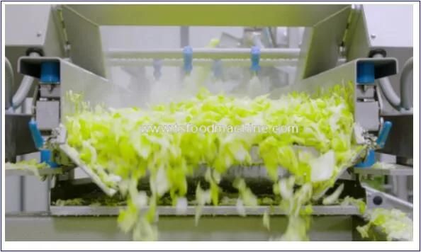 Automatic Industrial Fruit and Vegetable Washing and Drying Machine